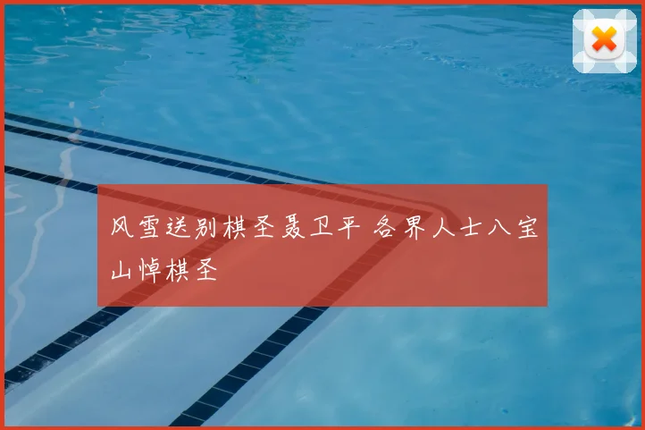 风雪送别棋圣聂卫平 各界人士八宝山悼棋圣