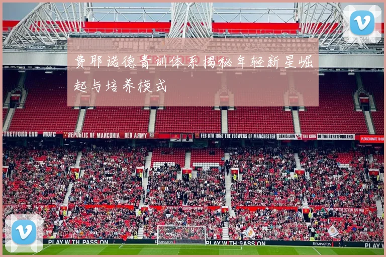 费耶诺德青训体系揭秘年轻新星崛起与培养模式