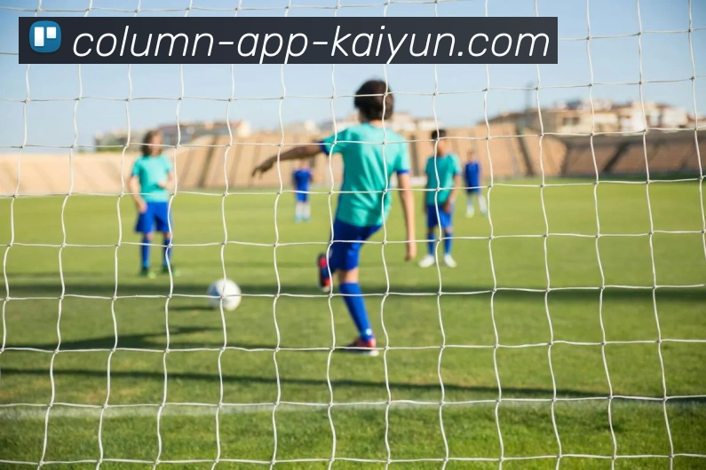 开云app发展历程